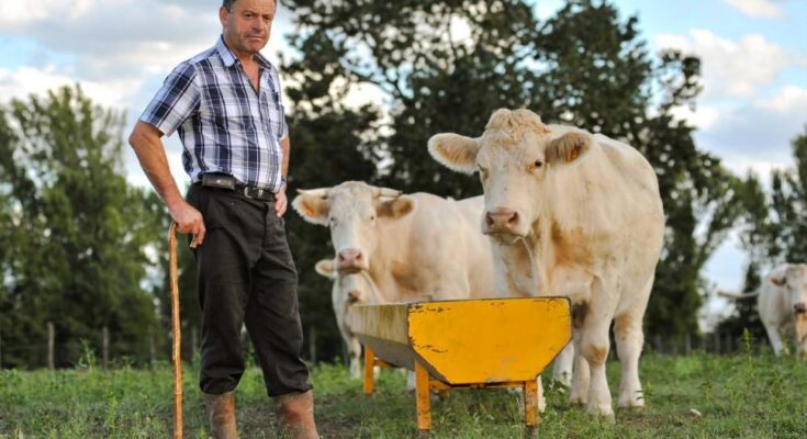 farming jobs in ireland