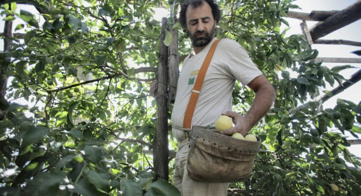 fruit picking jobs in canada