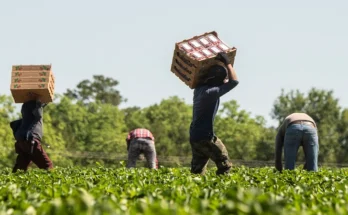 farm jobs in australia