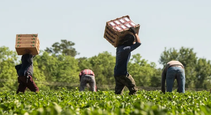 farm jobs in australia